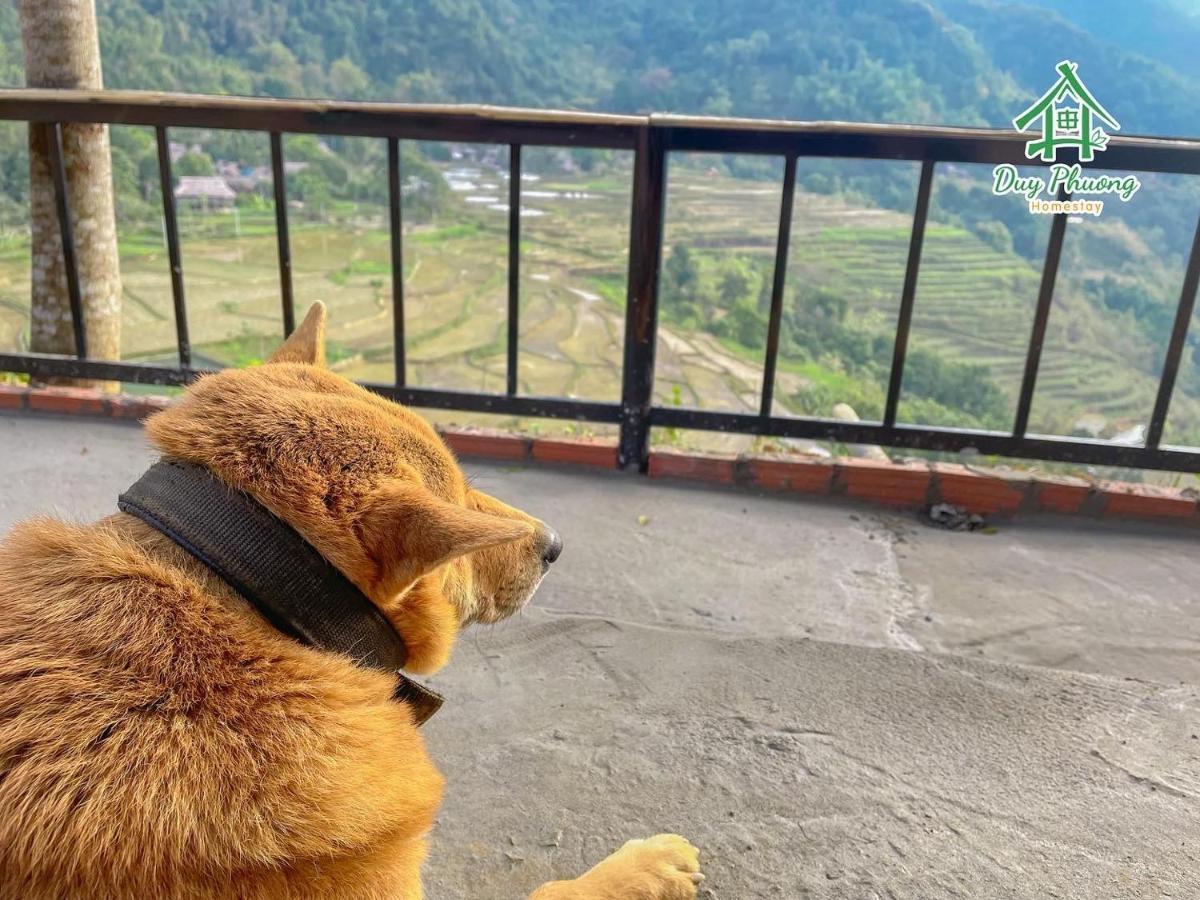 Thanh Hóa Pu Luong - Duy Phuong Homestay المظهر الخارجي الصورة